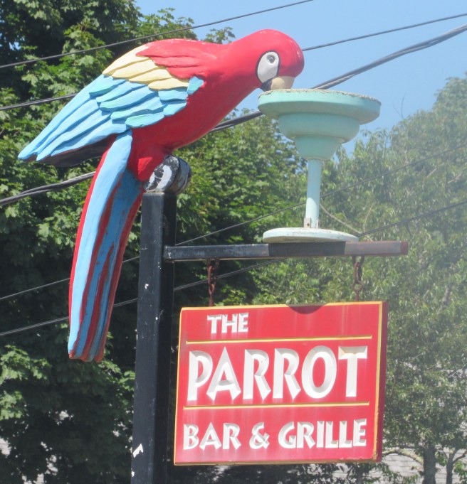 parrot bar